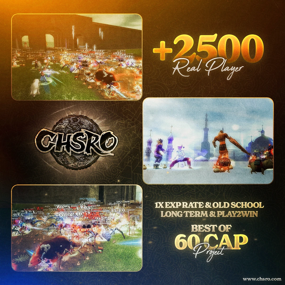 CHSRO Social Media Advertising Images 2