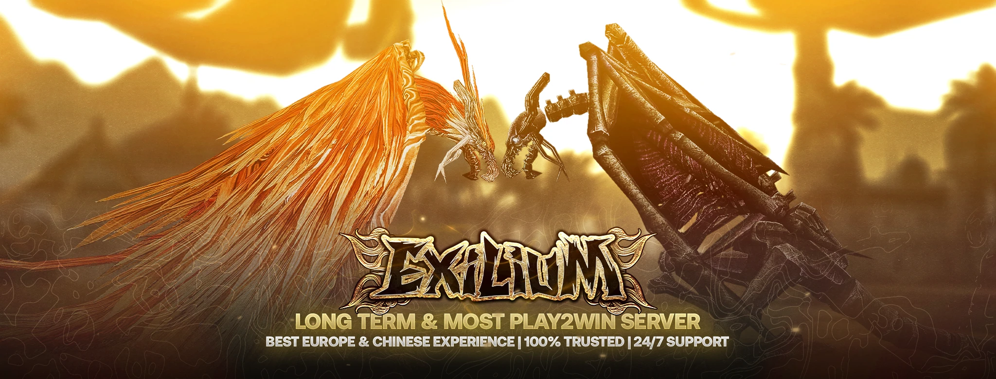 Exilium Silkroad Facebook Profile & Cover
