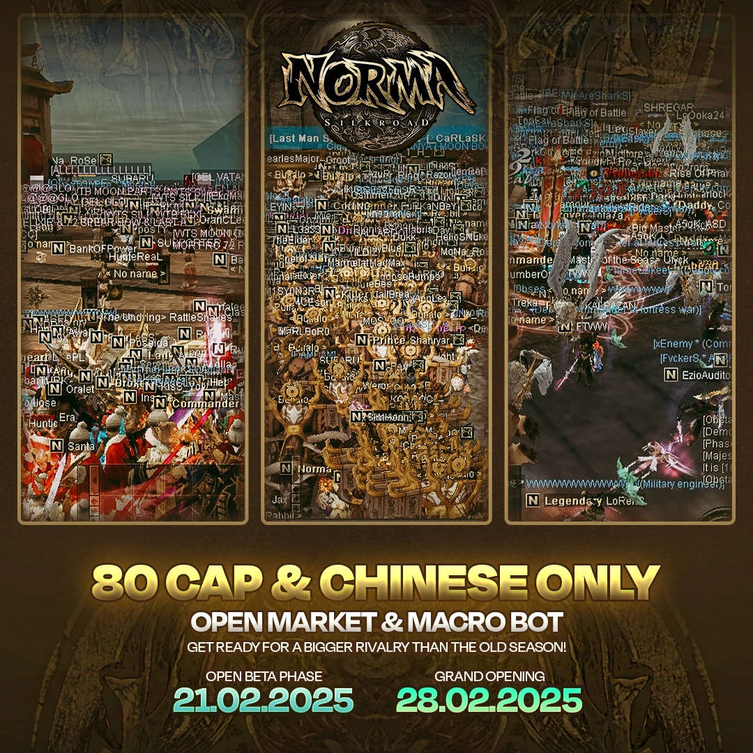 Norma Silkroad Social Media Advertising Images 3