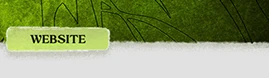 Quchar Online Forum Thread Design 4